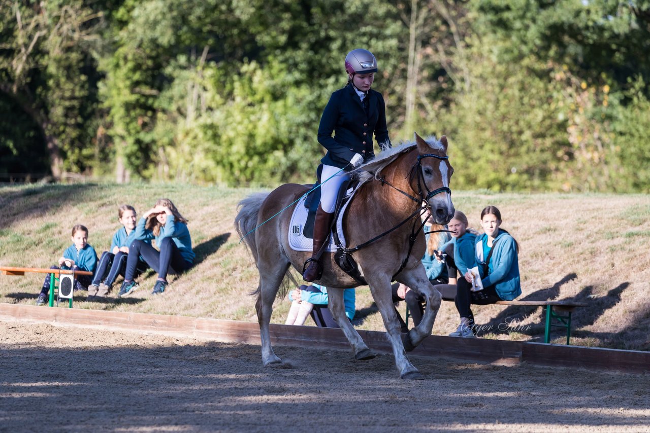 Bild 99 - Pony Akademie Turnier
